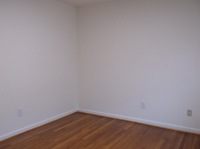 Gallery Photo 42